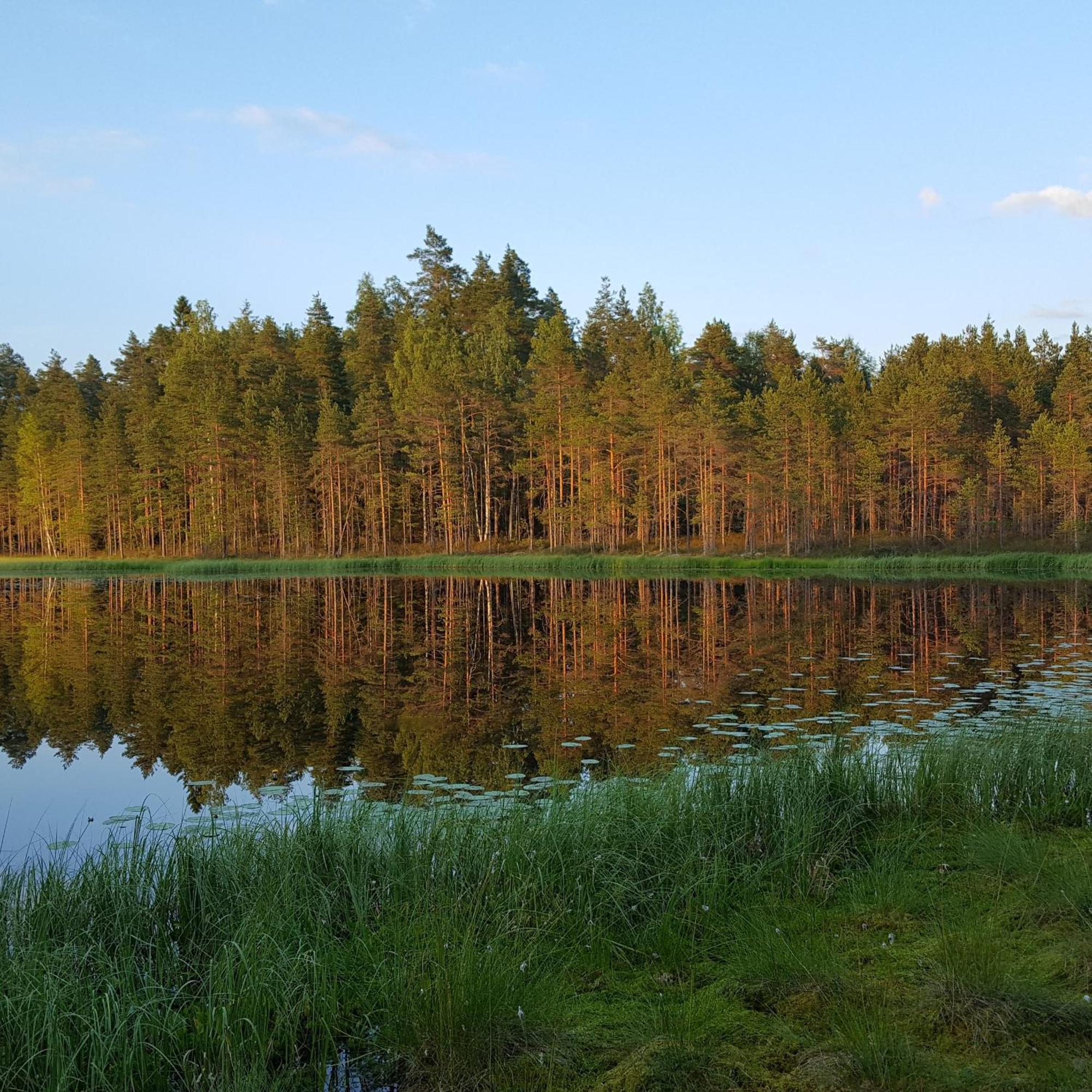 Villa Vuorenpaeae Tammela Exteriör bild
