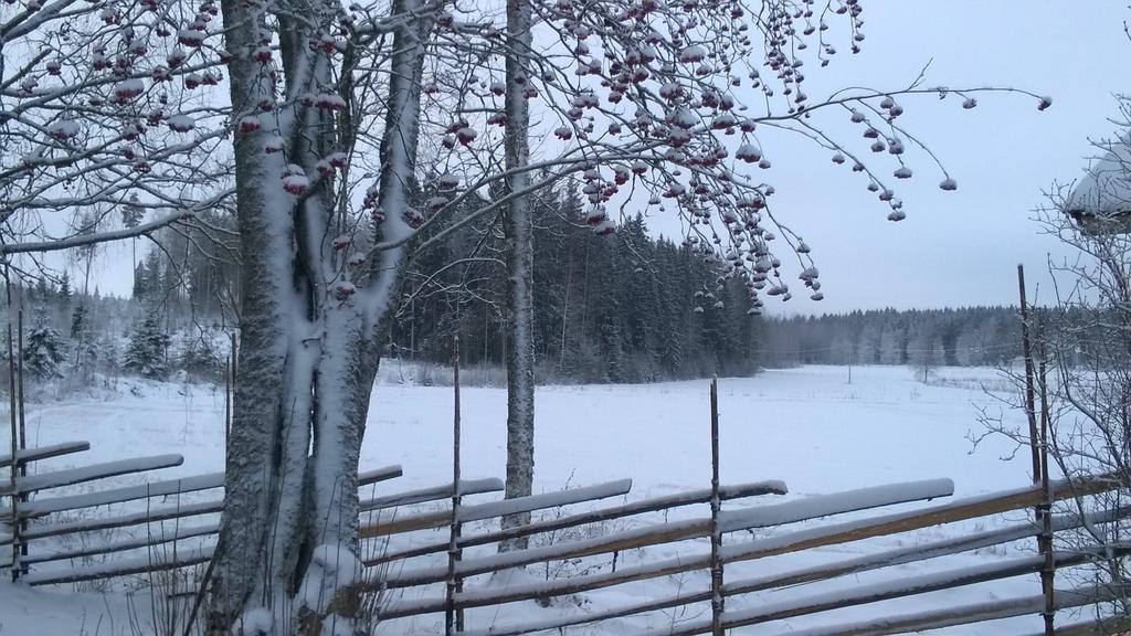Villa Vuorenpaeae Tammela Exteriör bild