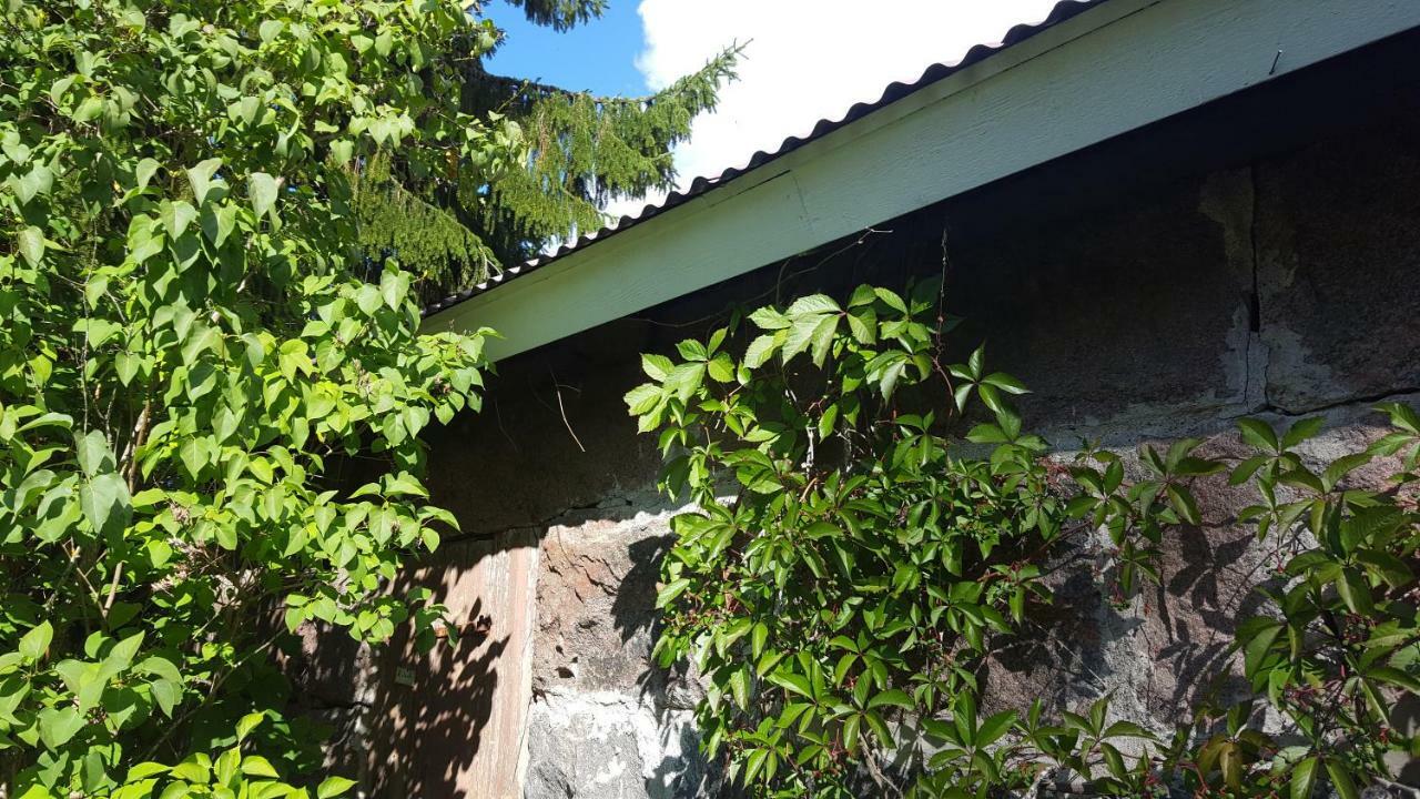 Villa Vuorenpaeae Tammela Exteriör bild