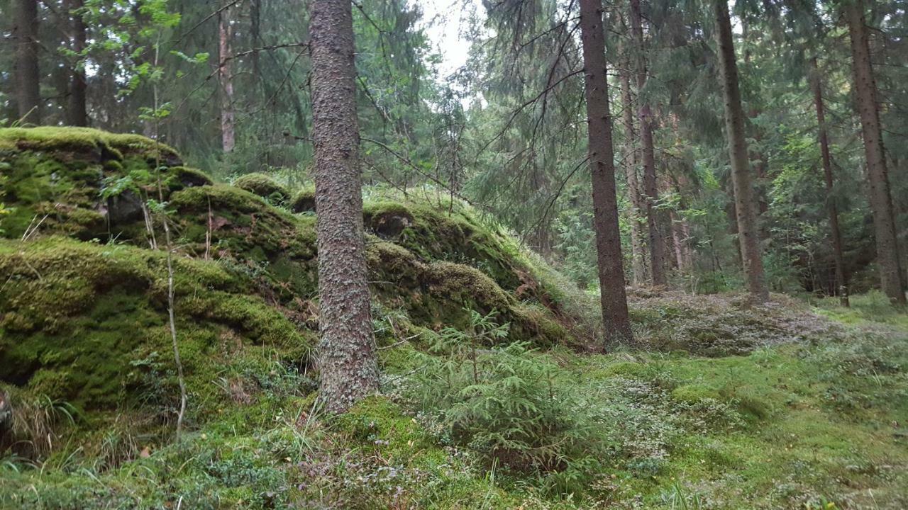 Villa Vuorenpaeae Tammela Exteriör bild
