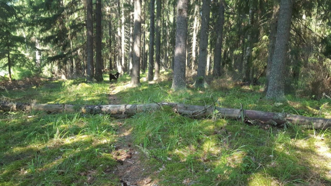 Villa Vuorenpaeae Tammela Exteriör bild