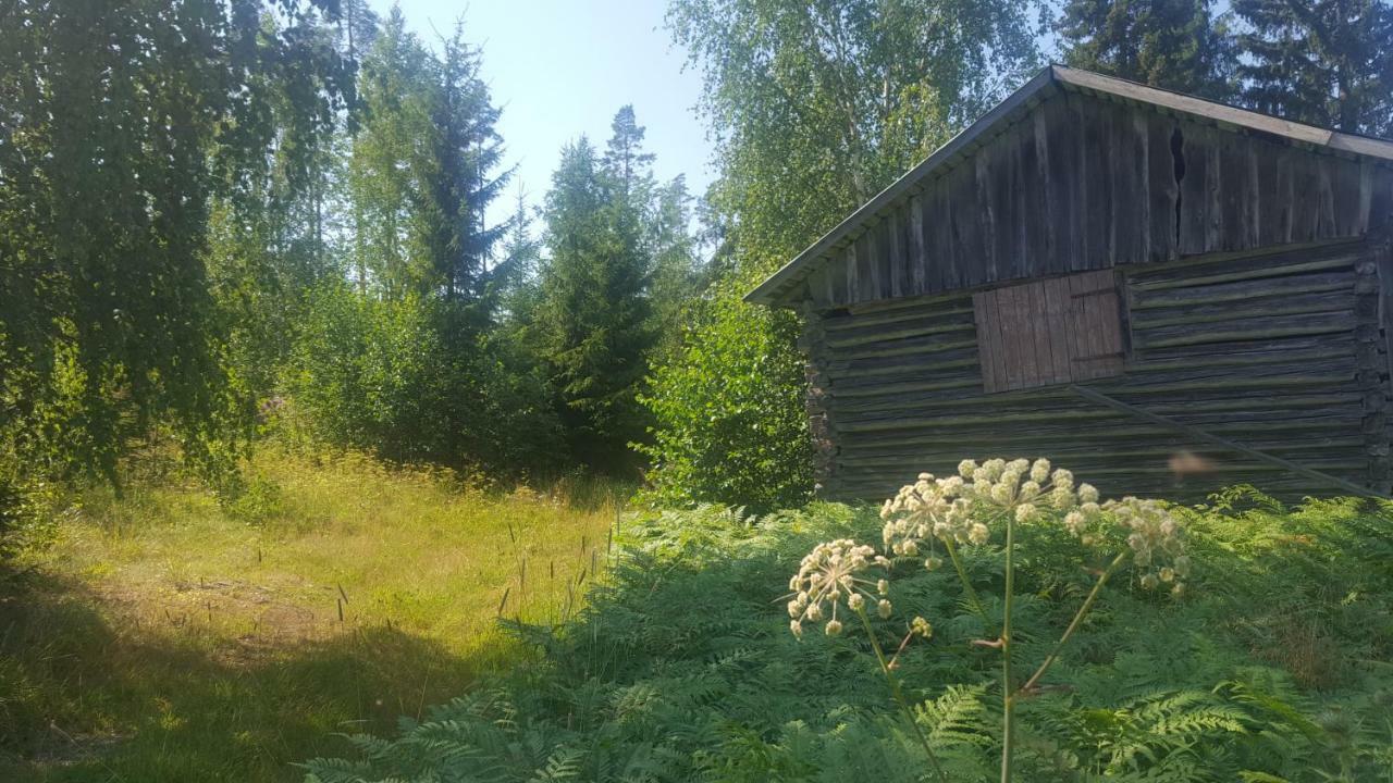 Villa Vuorenpaeae Tammela Exteriör bild